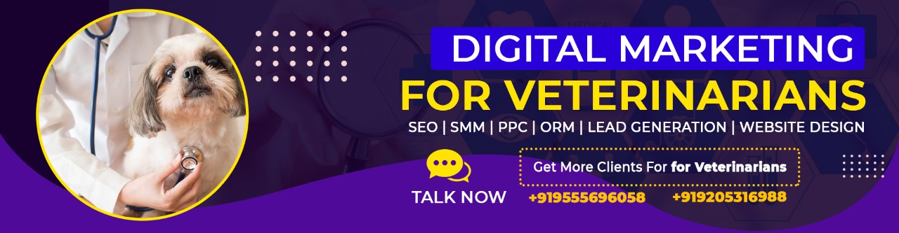 Digital Marketing for Veterinarians